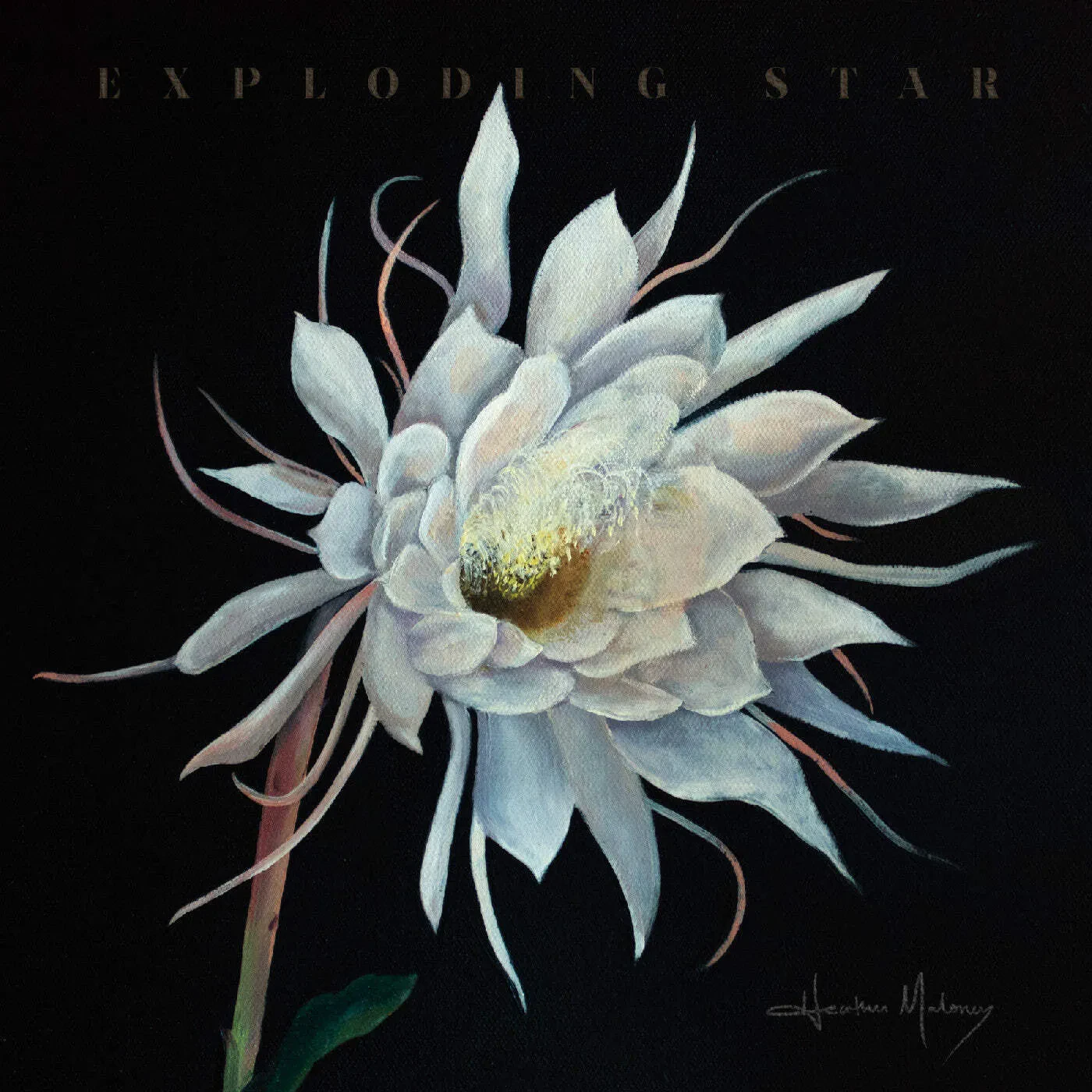 Виниловая пластинка Heather Maloney – Exploding Star (Релиз 2025)