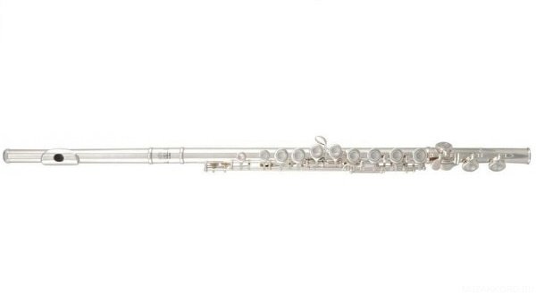 Флейта Roy Benson FL-402Е