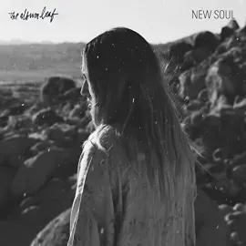 Виниловая пластинка The Album Leaf - New Soul [New 7" Vinyl]