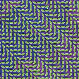 Виниловая пластинка Animal Collective - Merriweather Post Pavilion [New Vinyl LP]