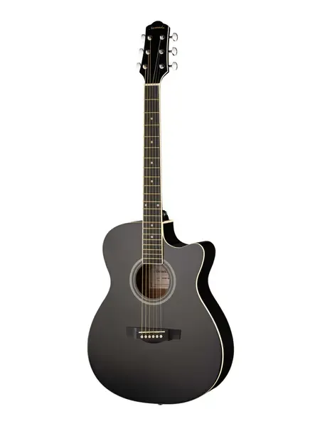 Акустическая гитара Naranda TG120CBK