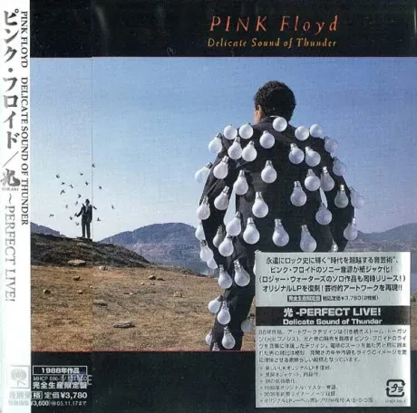 PINK FLOYD - Delicate Sound Of Thunder (2CD, Japan)