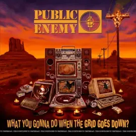 Виниловая пластинка Public Enemy – What You Gonna Do When The Grid Goes Down