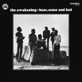 Виниловая пластинка The Awakening – Hear, Sense And Feel Sealed