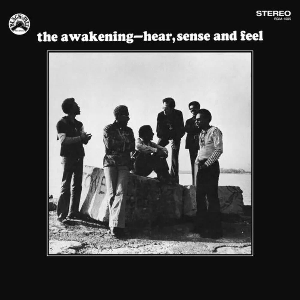 Виниловая пластинка The Awakening – Hear, Sense And Feel Sealed