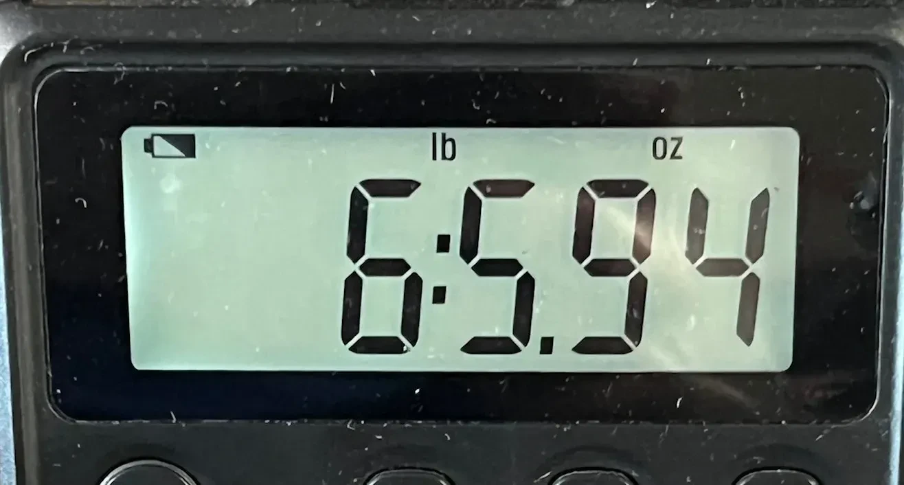 Изображение №8