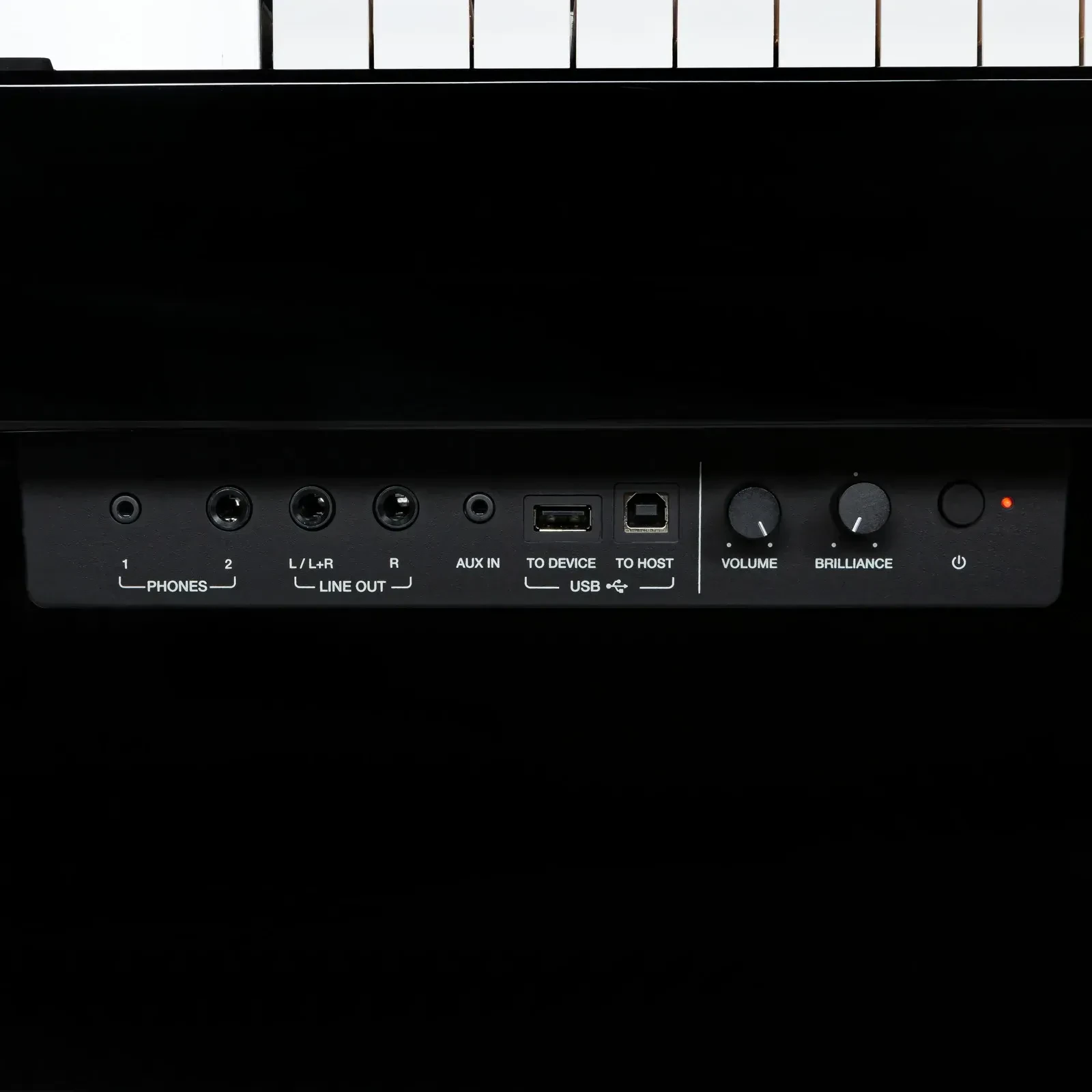 Изображение №6