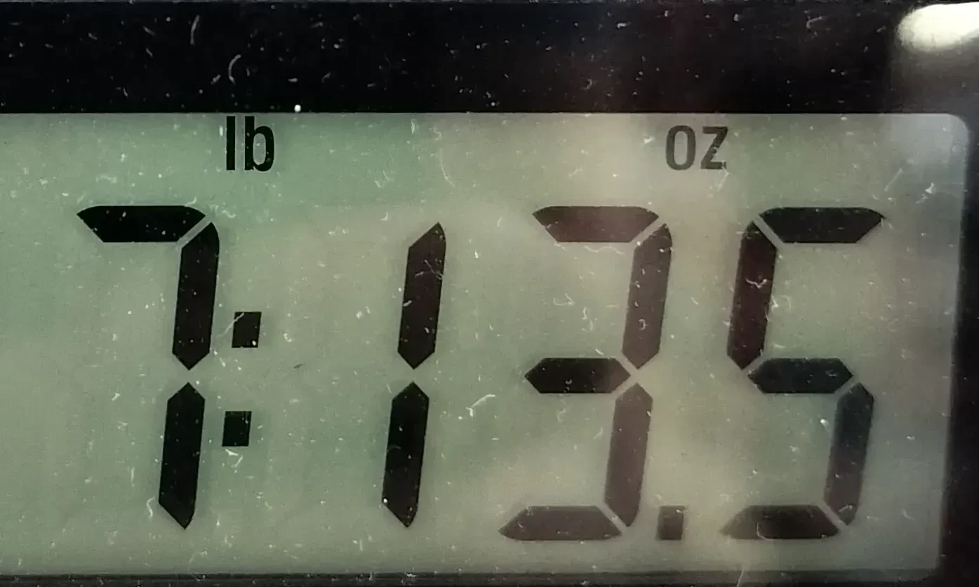 Изображение №10