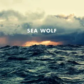 Виниловая пластинка Sea Wolf - Old World Romance - COKE BOTTLE CLEAR VINYL [New Vinyl LP] Clear Viny