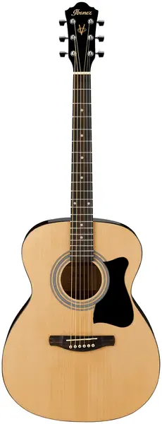 Акустическая гитара Ibanez VC50NJP NT