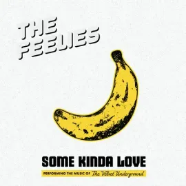 Виниловая пластинка The Feelies - Some Kinda Love: Performing The Music Of The Velvet Underground [N