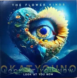 Виниловая пластинка THE FLOWER KINGS – Look At You Now