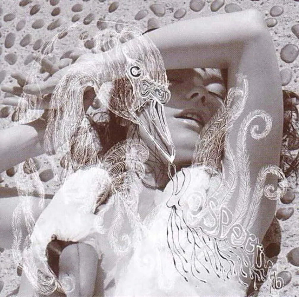 Виниловая пластинка Bjork – Vespertine (2012)
