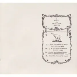 Виниловая пластинка A Silver Mt. Zion – 13 Blues for Thirteen Moons (2008)