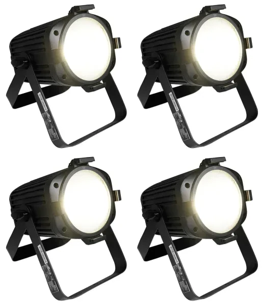 Светодиодный прибор Chauvet EVE P-100 WW (4 штуки)