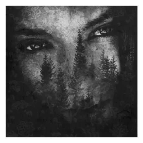 LUSTRE - The Ashes Of Light (CD)