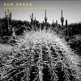 Виниловая пластинка Sun Speak – Probiotic Orchestrations (Релиз 2026)