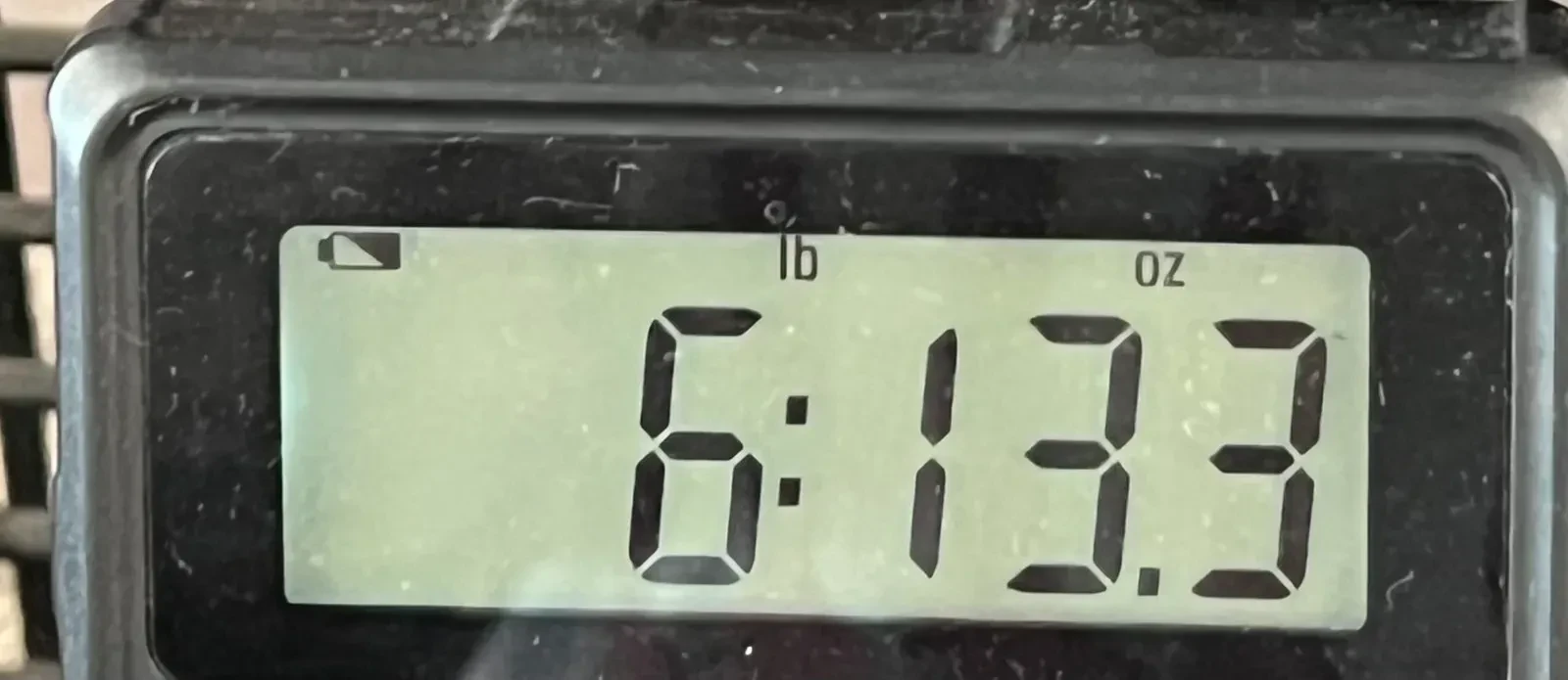 Изображение №8