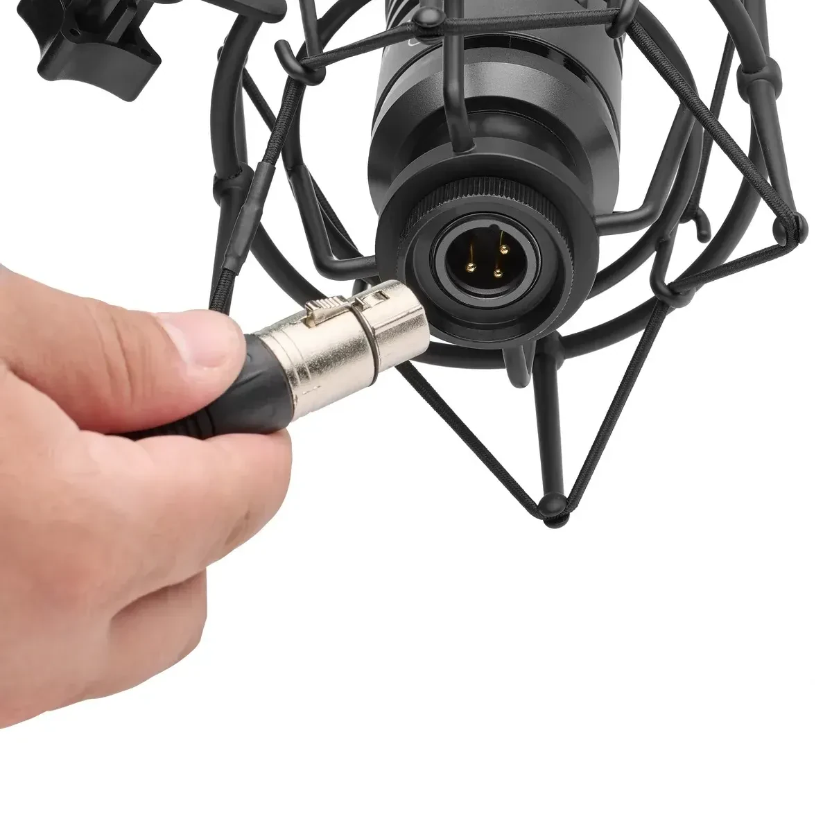 Изображение №7