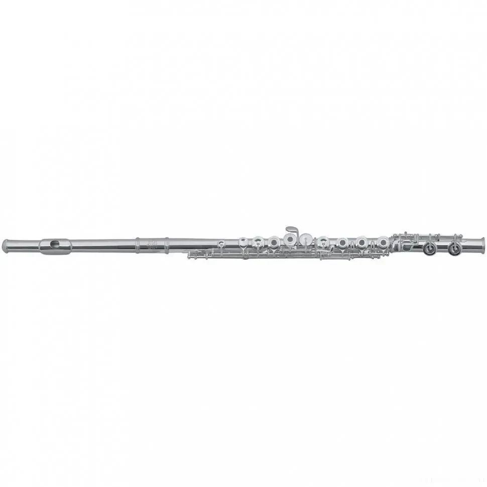 Флейта Roy Benson FL-602E