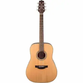 Акустическая гитара Takamine GD20 Dreadnought Natural