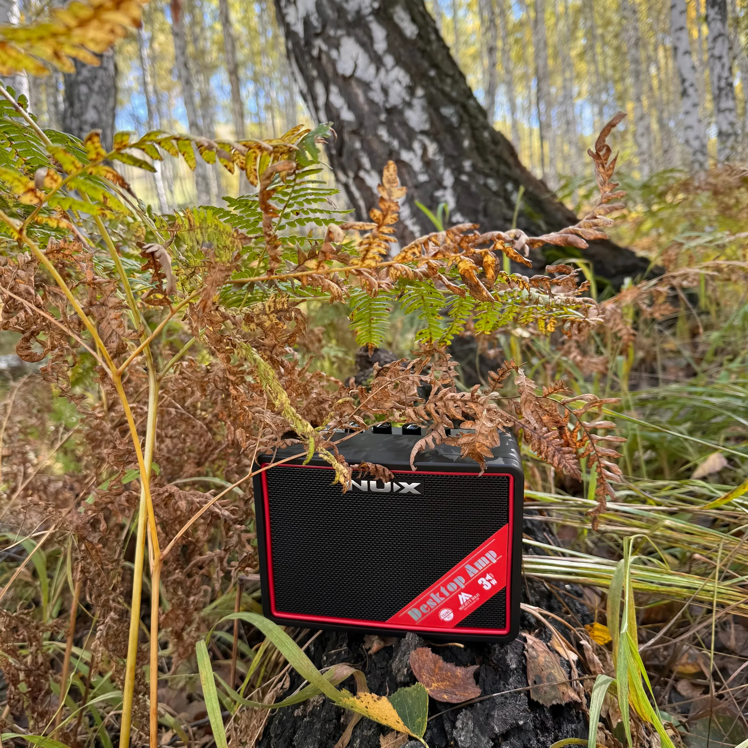 Изображение №4