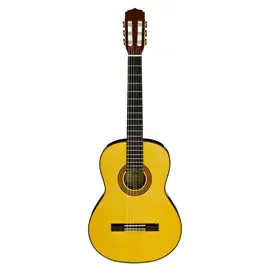 Классическая гитара Aria A-30S N