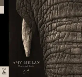 Виниловая пластинка Amy Millan - Masters of the Burial [New Vinyl LP]