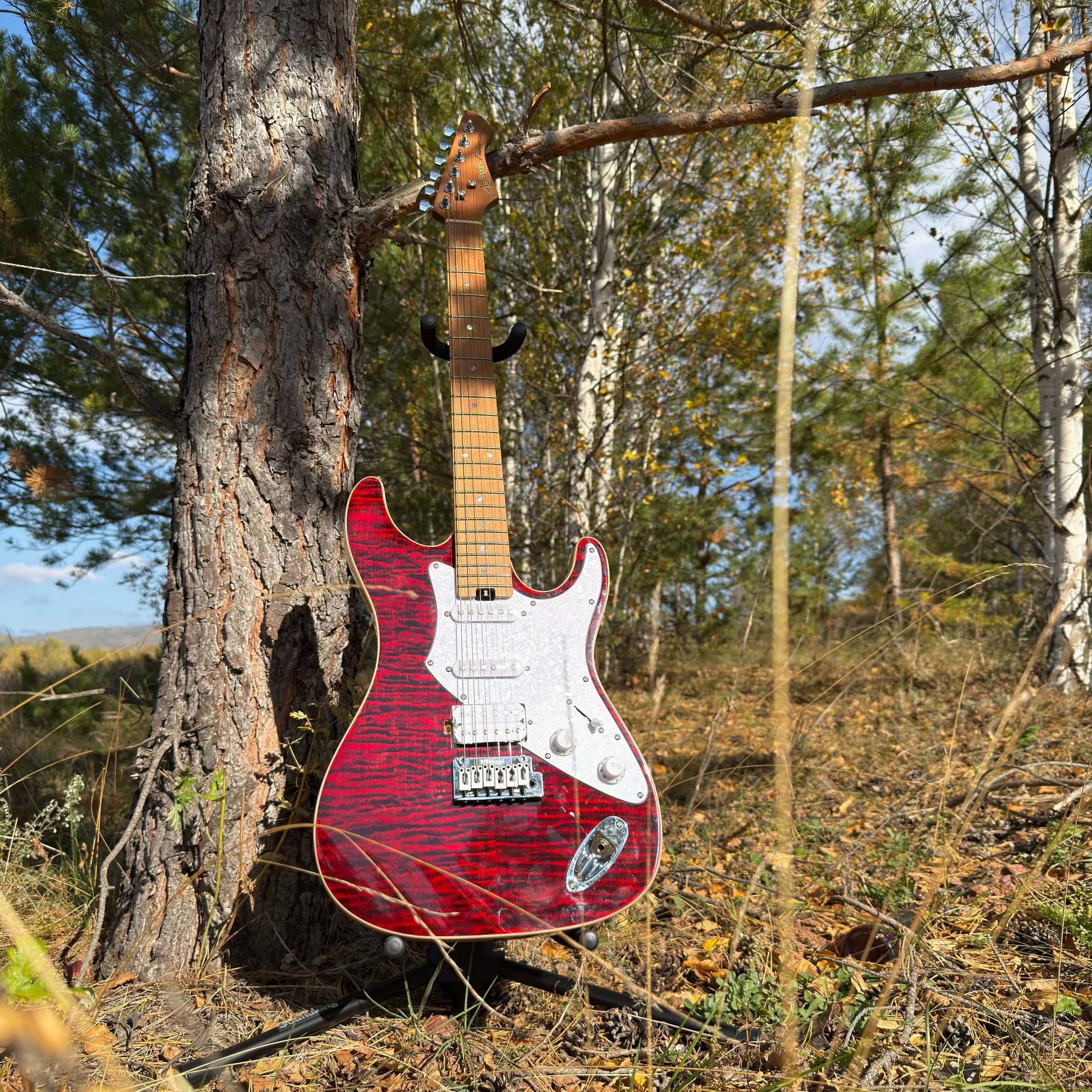 Изображение №2