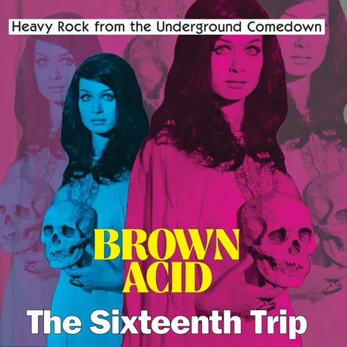 Виниловая пластинка Various Artists - Brown Acid - The Sixteenth Trip (Various Artists) [New Vinyl L