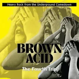 Виниловая пластинка Various Artists - Brown Acid: Fourth Trip (Various Artists) [New Vinyl LP]