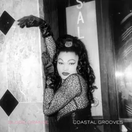 Виниловая пластинка Blood Orange – Coastal Grooves Sealed