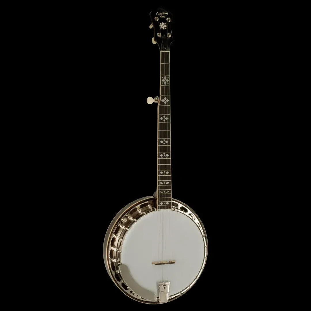 Recording King Songster Closed Back 5-String Banjo with Rolled Brass Tone Ring