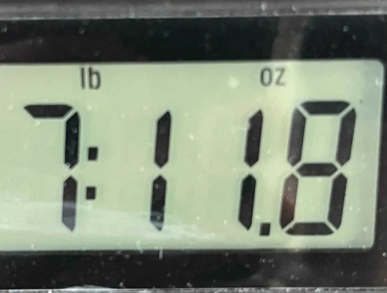 Изображение №9