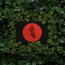 Виниловая пластинка Moses Sumney - Live From Blackalachia (Clear Green) [New Vinyl LP] Colored Vinyl