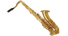 Саксофон-тенор Wisemann DTS-350