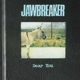 Виниловая пластинка Jawbreaker – Dear You