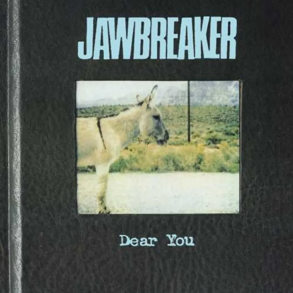 Виниловая пластинка Jawbreaker – Dear You