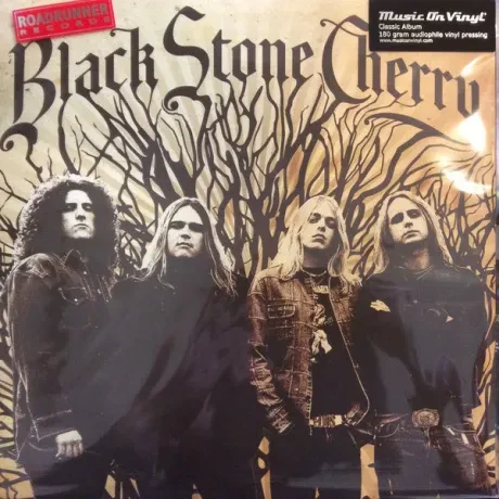 Виниловая пластинка Black Stone Cherry – Black Stone Cherry