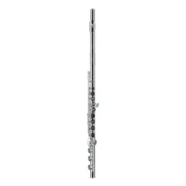 Флейта Tomasi Model TFL-09l-GOB Flute Solid Silver Headjoint Silver Lip Plate
