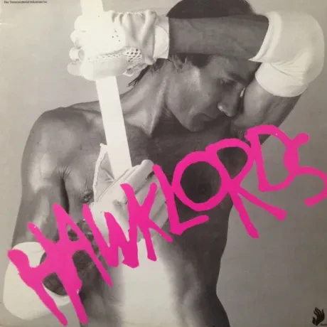 HAWKLORDS - 25 Years On (LP , Used)