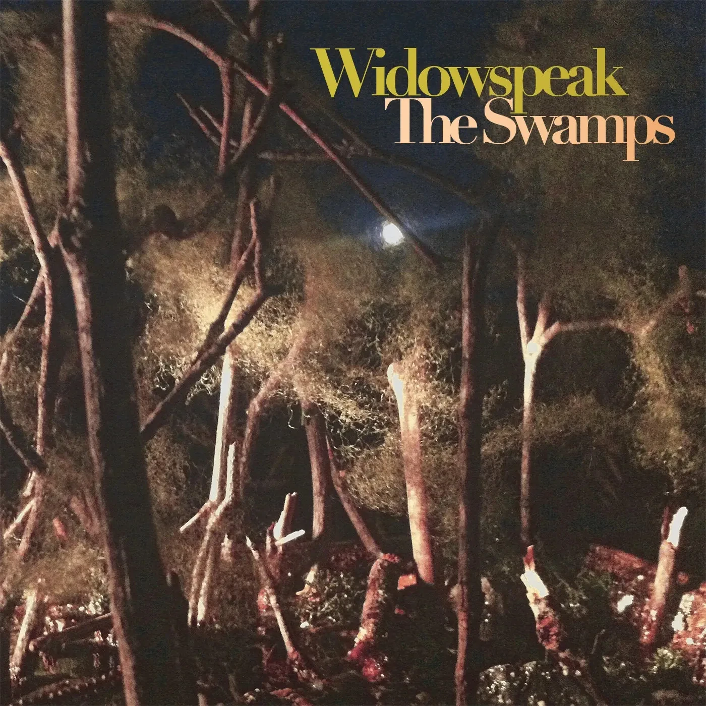 Виниловая пластинка Widowspeak – The Swamps Sealed