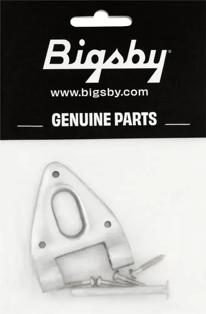 Запчасть для гитары Bigsby Conventional Hinge (полированный хром, штифт и винты)