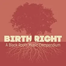 VARIOUS ARTISTS - Birthright: A Black Roots Music Compendium (CD)