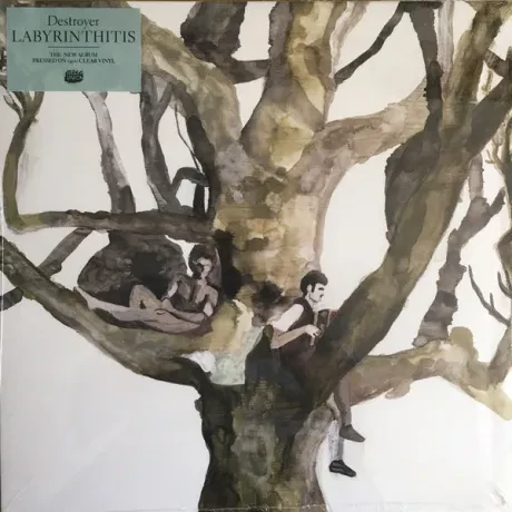 Виниловая пластинка Destroyer – Labyrinthitis