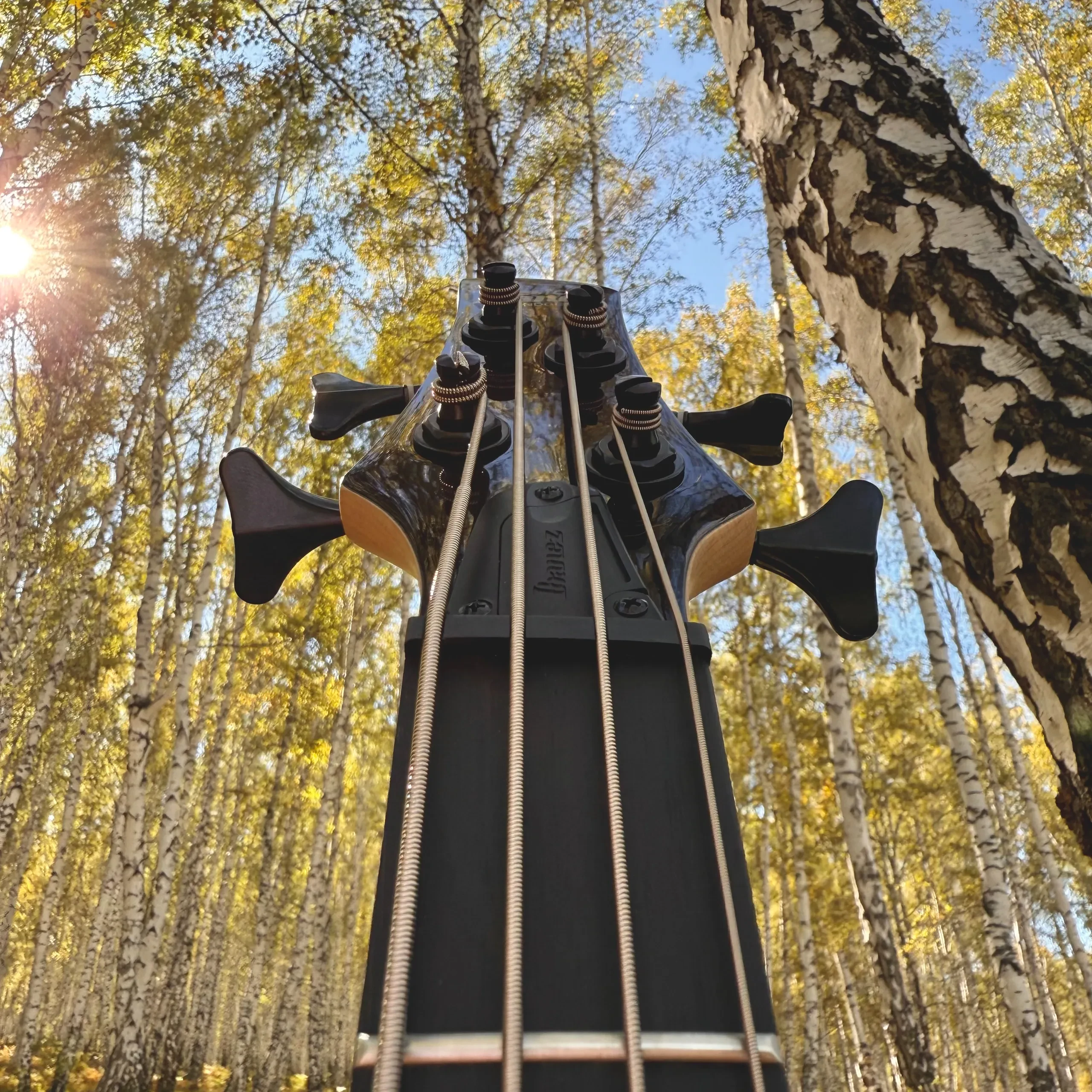 Изображение №3