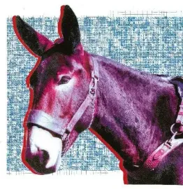 Виниловая пластинка Protomartyr - Ultimate Success Today [New Vinyl LP] Poster, Digital Download
