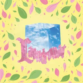 Виниловая пластинка Pickle Darling – Laundromat 2023 Sealed