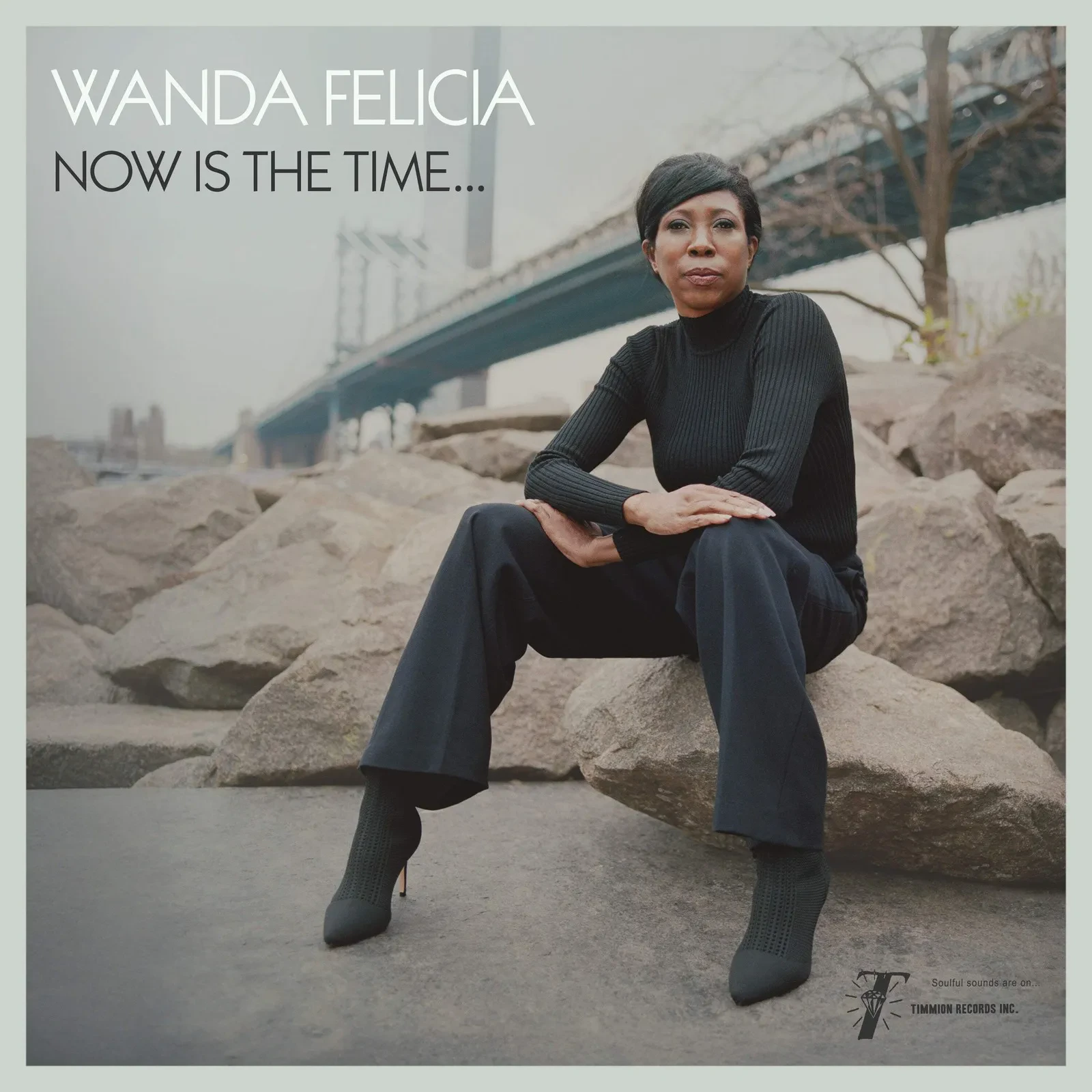 Виниловая пластинка Wanda Felicia & Cold Diamond & Mink – Now Is The Time Релиз 2025