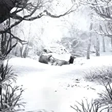 WEEZER - Sznz: Winter (CD)